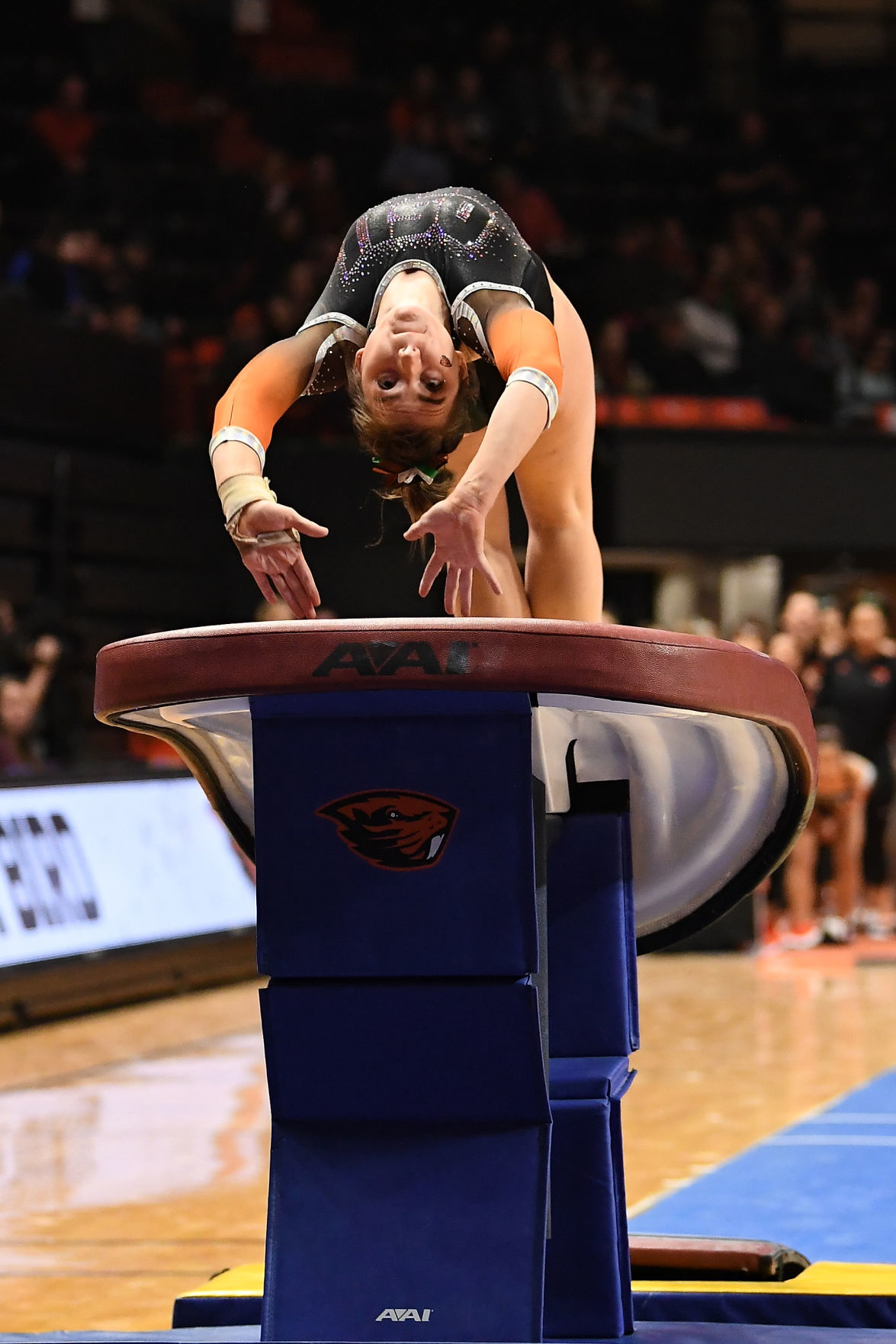 020820-cgt-gallery-spt-osu vs lsu & asu-gymnasticcs-ln440.JPG
